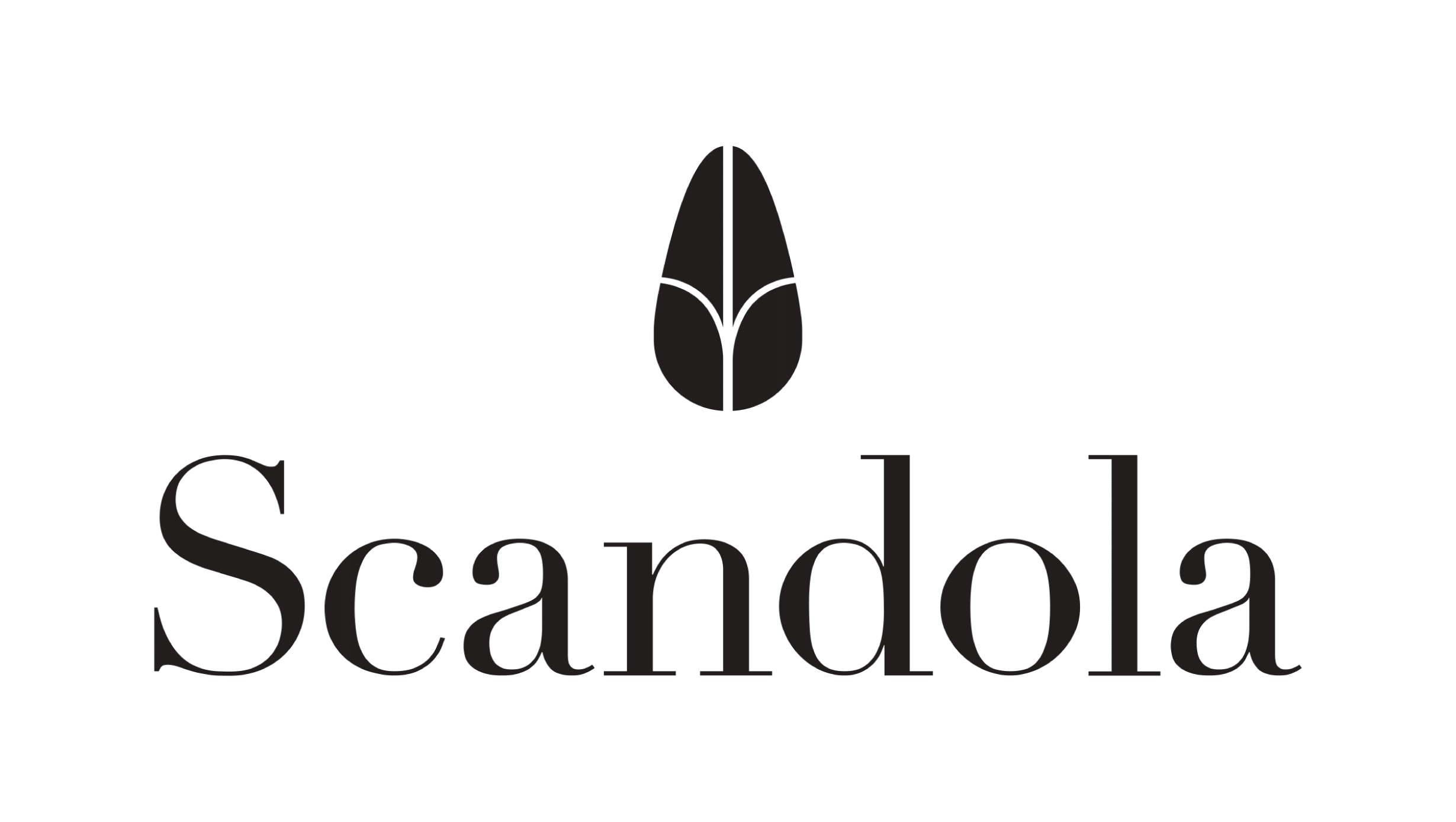 logo partner scandola